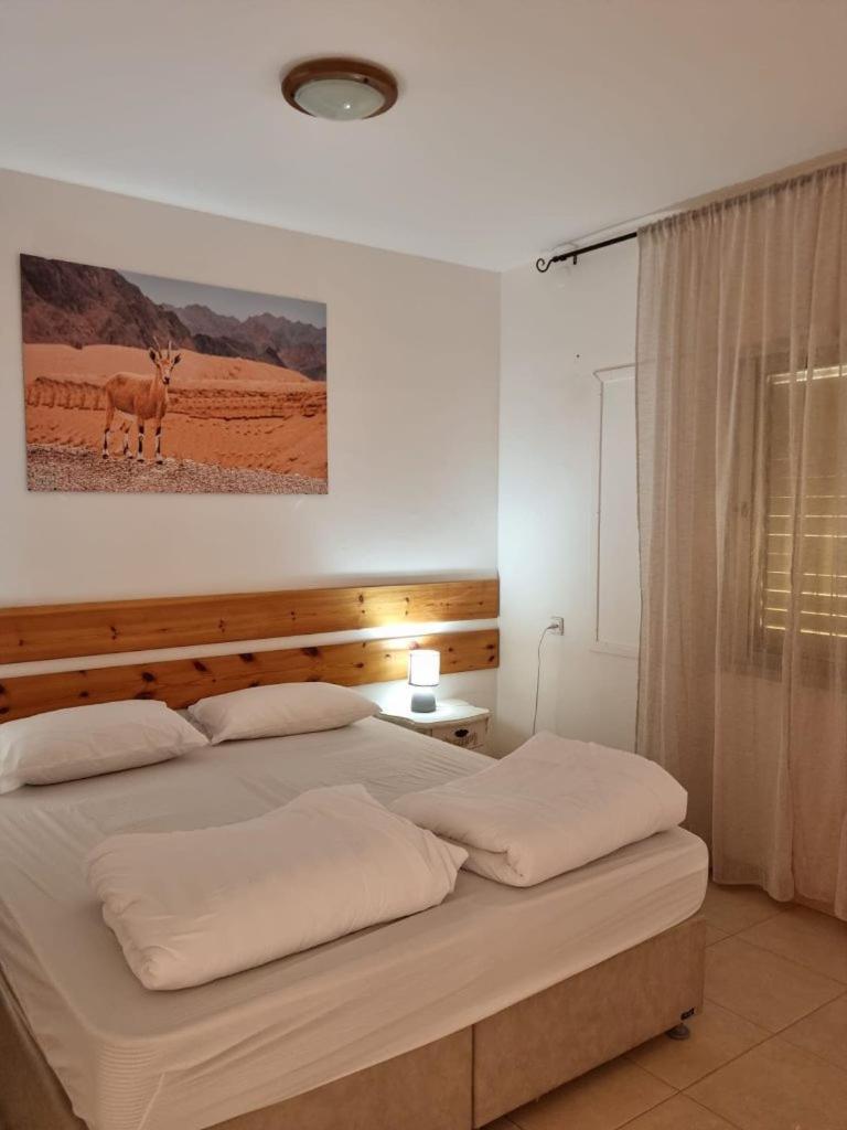 Elifaz Desert Experience Holiday Экстерьер фото